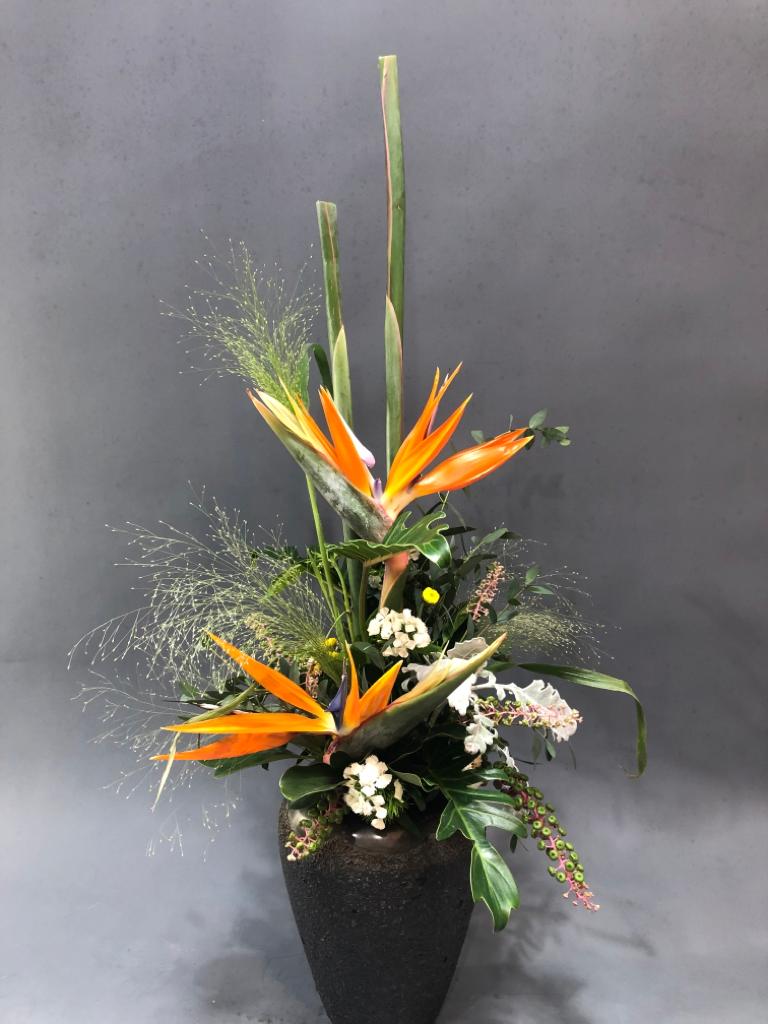 flower arrangement 101